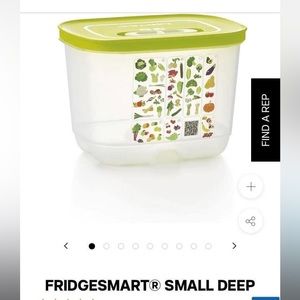 Tupperware FridgeSmart Small Deep